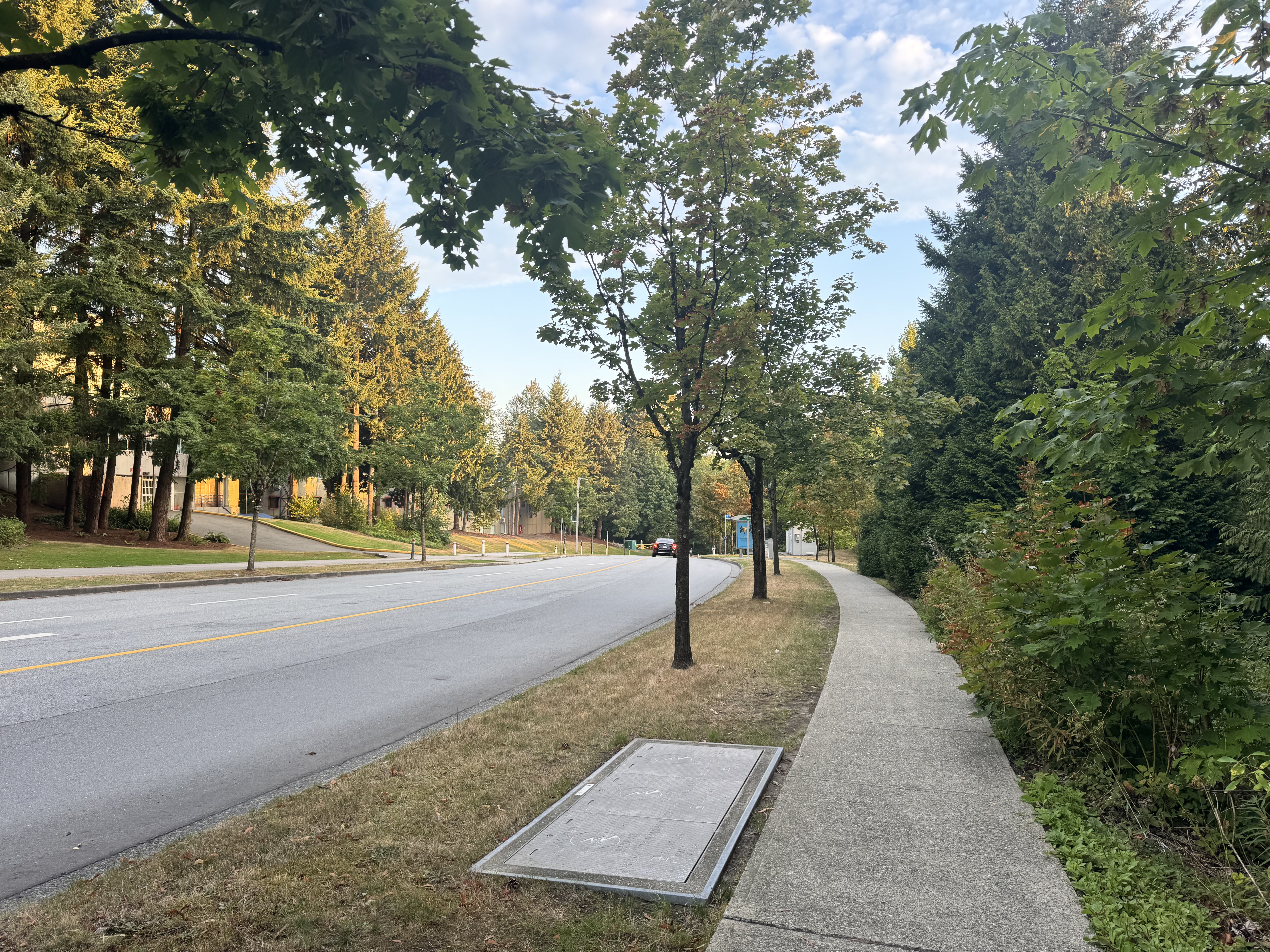 Road to Boston – Week 12